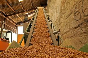 biomass-production