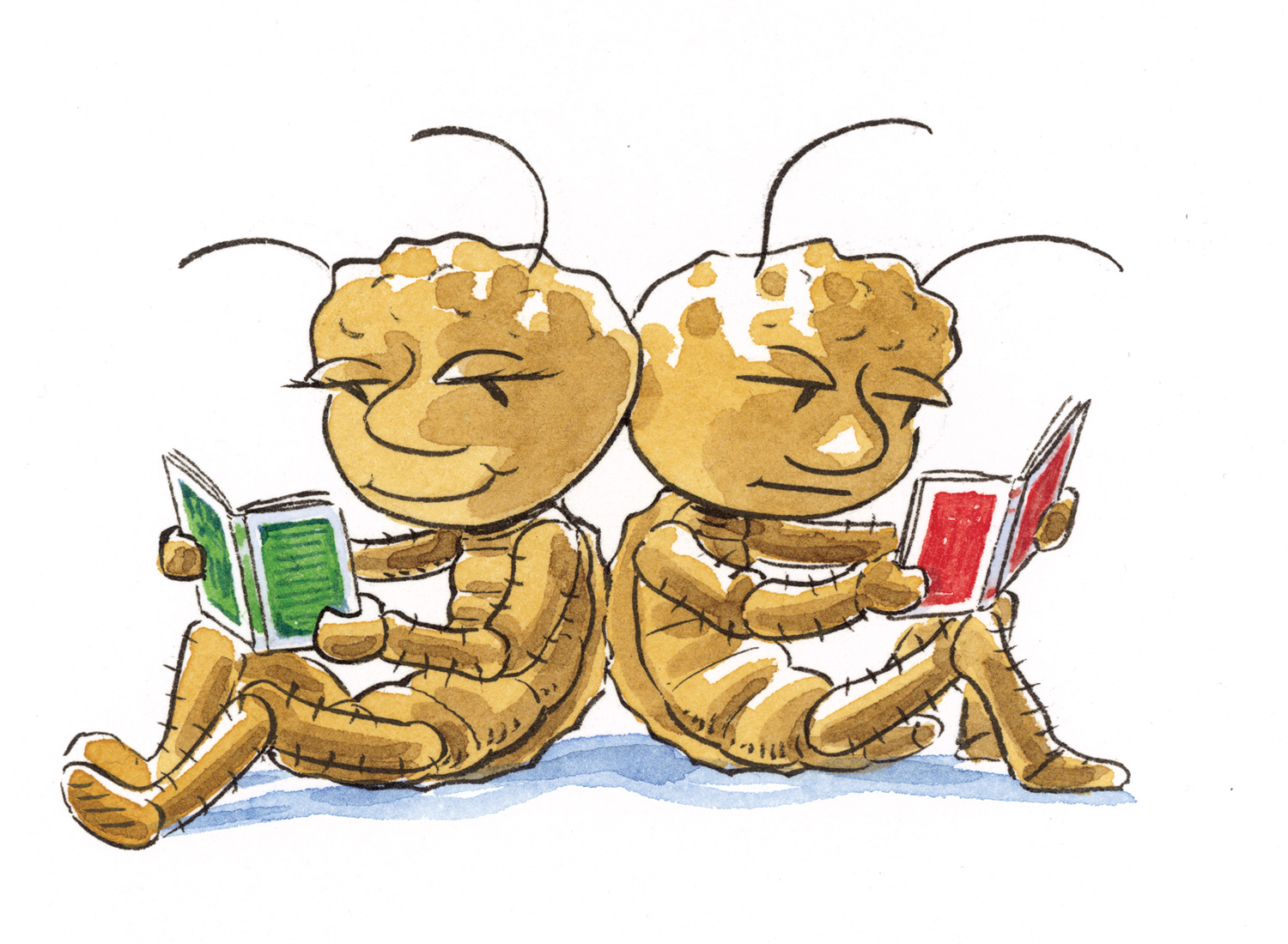 two-reading-bugs