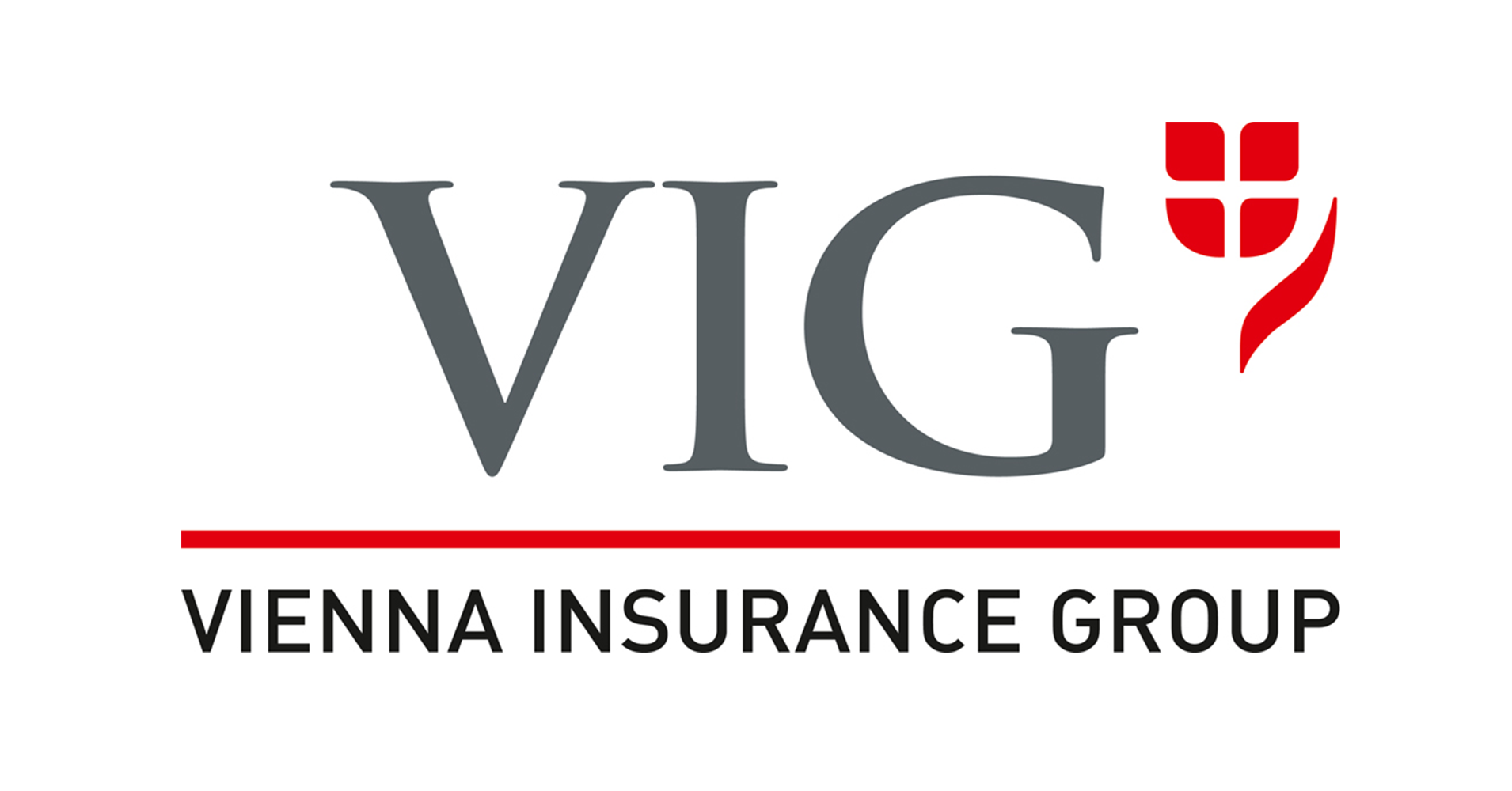 Vienna insurance Group. Vig. Вена логотип. Meet-компания «Vienna insurance Group».