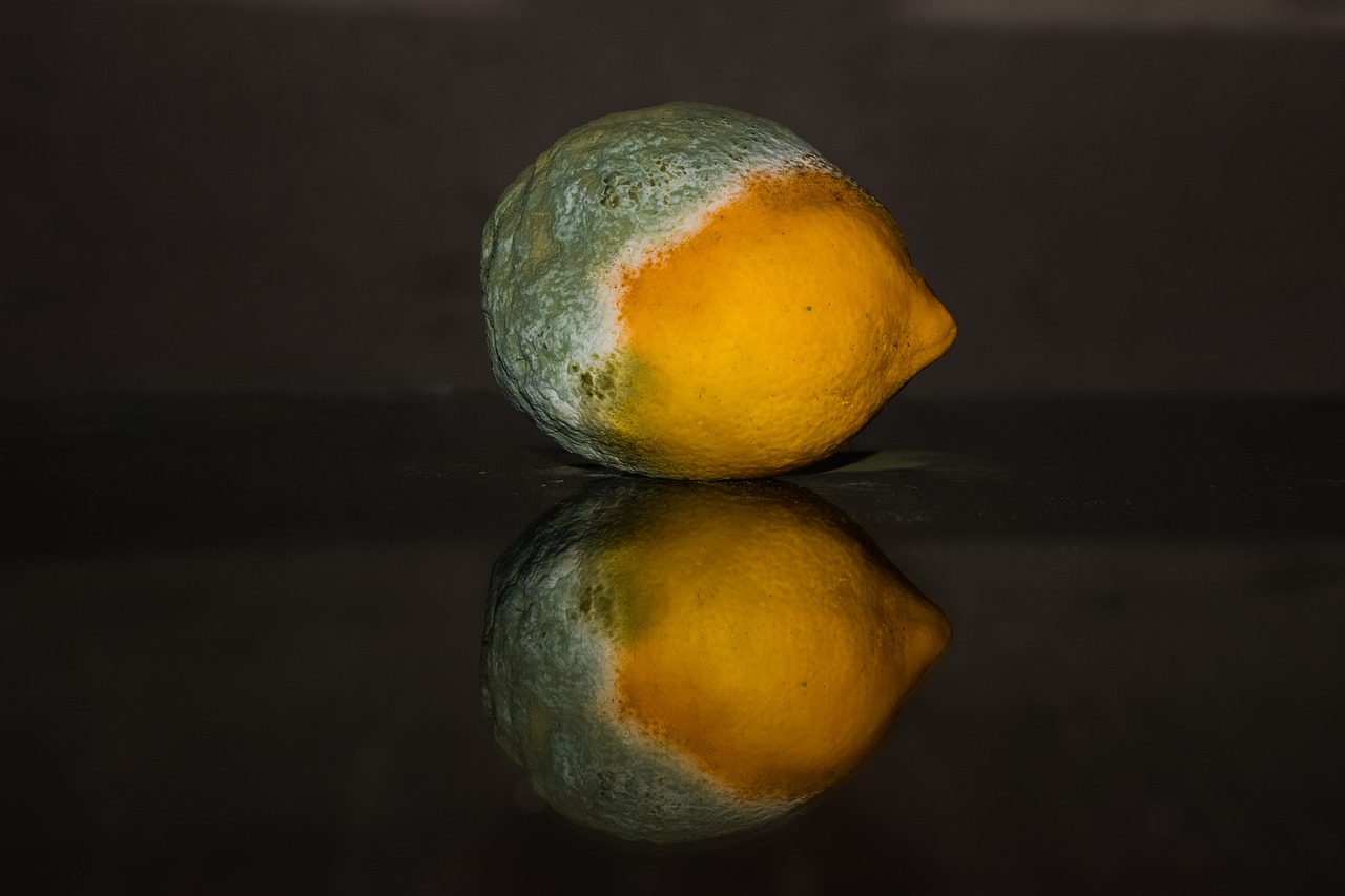 Limun star 285 godina prodat na aukciji